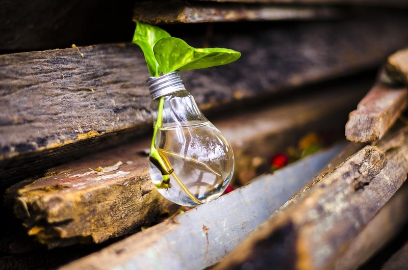Recycled DIY Projects